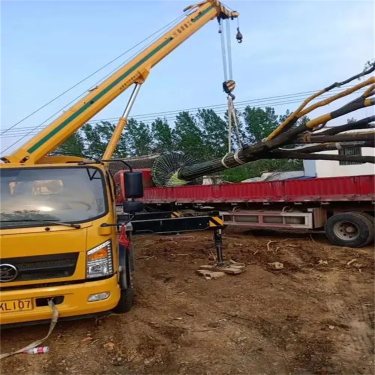 汉南100吨吊车租赁费用怎么算？3大关键因素+省钱技巧全解析